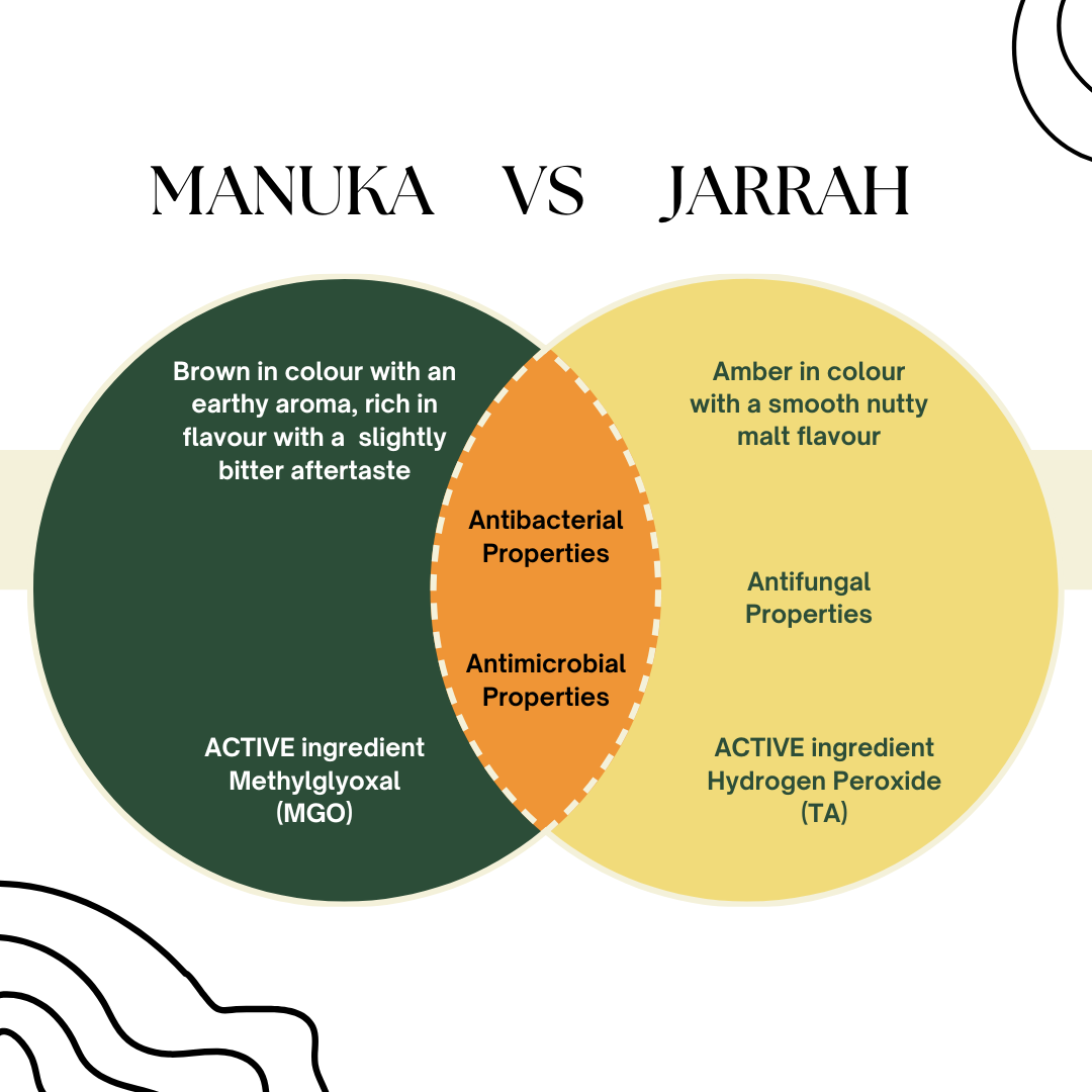 A Venn diagram showing the difference between manuka honey and jarrah honey both are active premium honey. Jarrah is sourced from unspoilt forests of western Australia, smooth and with a nutty flavour and rich texture.
